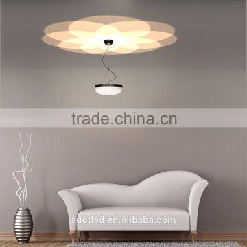 Modern Flower Pendant Lamp With Iron Wire photo-6