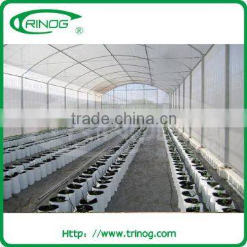 Economical tunnel greenhouse for vegetable