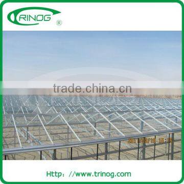 High Gutter and Roof Glass Greenhouse for Agriculture