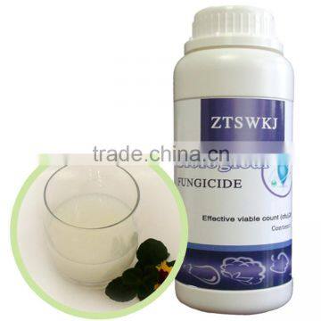 lotus root water flush fertilizer biological fertilizer