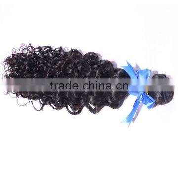 Brazilian human virgin hair water wave human hair wig clip in hair extension