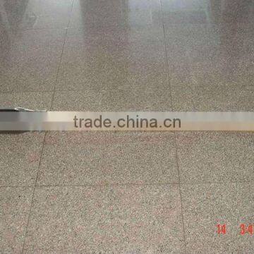 Best quality of Post Hole Digger FS004-2L