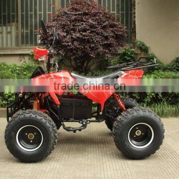 48V 20ah Electric ATV Quads With 750w Bushless Unit Motor photo-6
