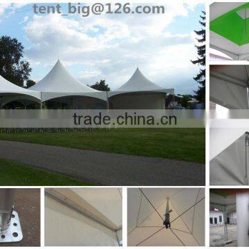Premium Marquee Tent Exhibition Tent New Product Show Tent Wedding Party Tent photo-3