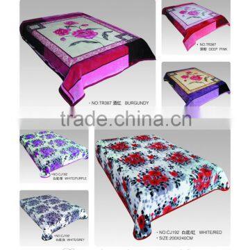 2015 NEW DESIGNS 1ply&2ply Raschel Quality Hot Compressed Embossed Raschel Korean Style Blanket NO.15022 photo-5