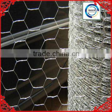 Galvanized Hexagonal Wire Mesh Anping Wire Factory