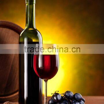 Automatic Bottle Corking Machine photo-4