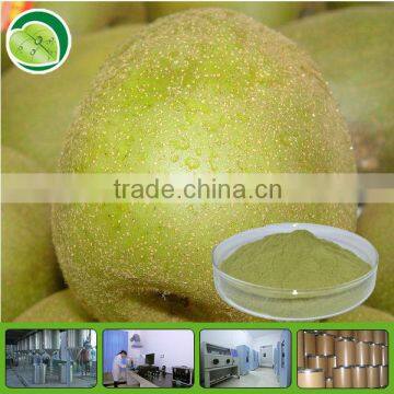 100% purity and natural kiwi fruit powder