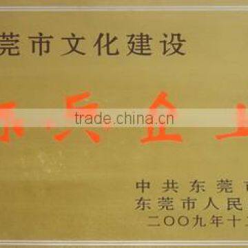 Dongguan Pacesetter Enterprise