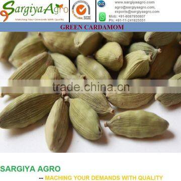 Green Cardamom l Fresh l Export Quality photo-2