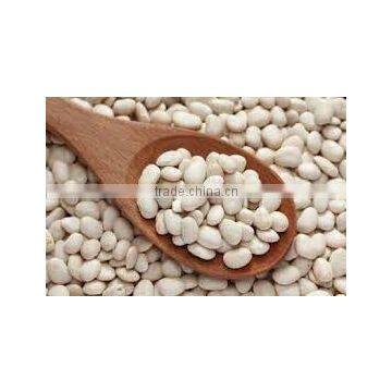White Kidney Beans photo-2