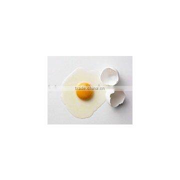 high quality hen egg white powder