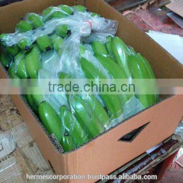 Fresh Cavendish Banana