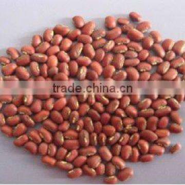 red cowpea beans in China