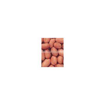 RED GROUNDNUTS