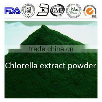 high quality Feed grade Chlorella powder/Chlorella powder