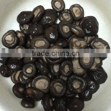 sale shiitake mushrooms in bag lowest price for shiitake mushroom for sale