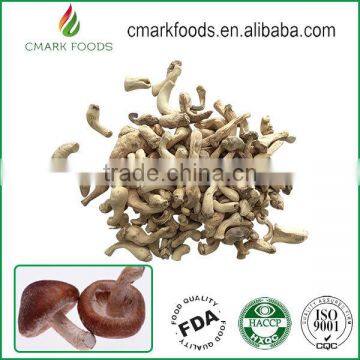 Best dehydrated mushroom agaricus farm compost