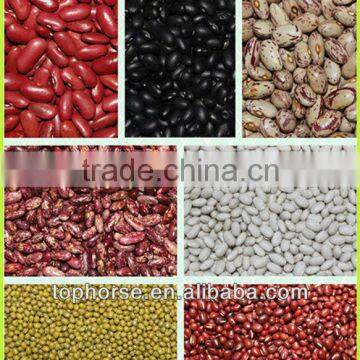 types of kidney beans / different types of kidney beans 2014 crop