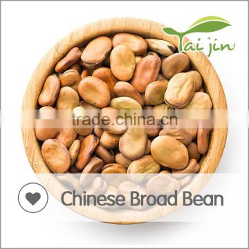 High protein best prices broad bean