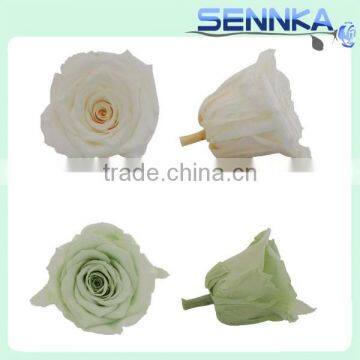 Natural Preserved Fresh Flowers Preserved Roses Wholesale photo-2
