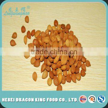 Bitter Apricot Kernel for Medicine/Snack Killer of Cancer photo-3