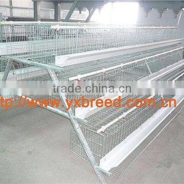 hen layer cage