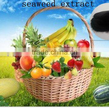 soluble seaweed fertilizer, organic fertilizer