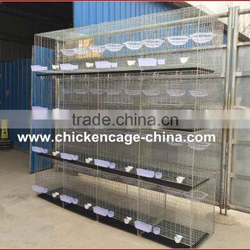 High Quality pigeons cage/ pigeon breeding cage use poultry farm