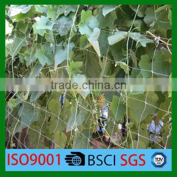 Vegetable farming support net