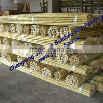 Natural Bamboo Pole