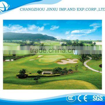 Indoor high quality turf artificial grass for garden
