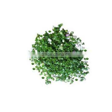 OULENO A Machine for Cutting Cutting Circle Cutting Onion Cutting Machine Qiecai Machine Cut Green Onion Pepper Circle Leek Mach