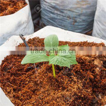 500 kg per Hour Coco Peat Dryer Machine for Coconut Shell Product photo-5