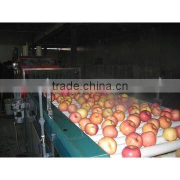 Fruit Selecting Machine/Fruit Pick Up Equipment photo-3