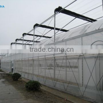 large plastic film multi-span greenhouse poly covering greenhouse