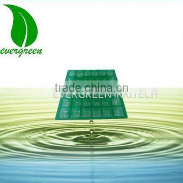 Green Seed Tray