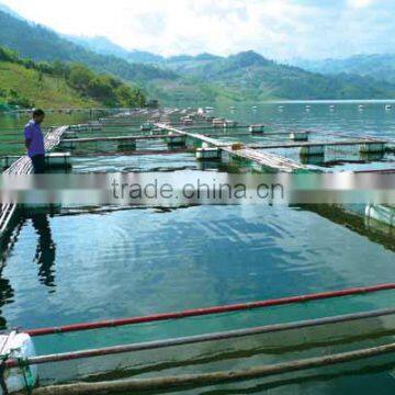 Yeast Extract Powder 42% for Fish Shrimp and Crab Feed photo-3