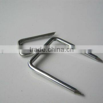 Square Bottom U Nail With Plastic Mattress in Guangzhou photo-2