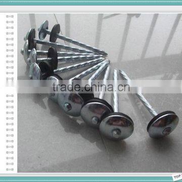 Colour Painted Roofing Nails With Umbrella Head photo-6