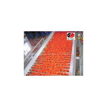 Coming From Nilton's Delicious Tomato Paste Ketchup photo-2