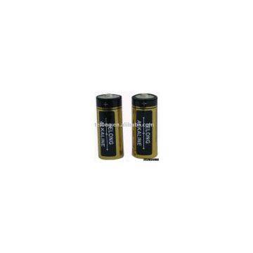LR1/N alkaline battery