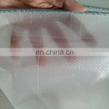 new material transparent PE tarp for cover protection cherry and grape