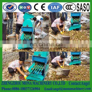 Fresh green castanea mollissima electric raw chestnut opener for sale