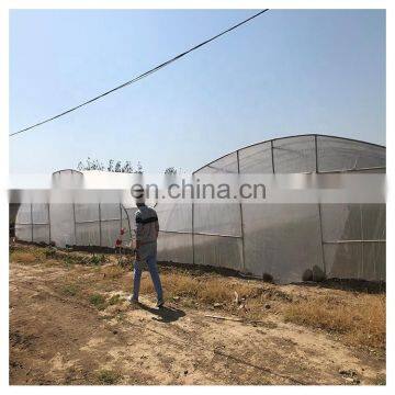 High Quality Cheap Price Agricultural Indoor Solar Greenhouse Frame With Plastic Sheet Tent photo-7