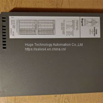 ICS TRIPLEX ROCKWELL MODULE T8461