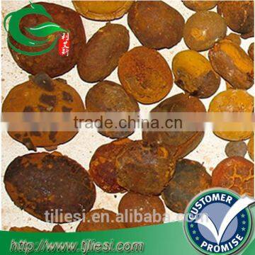 supply 2016 cow bezoar ox gallstones with low price