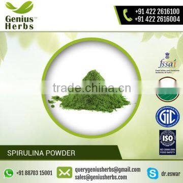 Organic Spirulina Powder for Bulk Supply