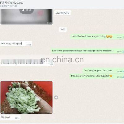 Industrial Vegetable Cutting Machine Fruit And Vegetable Cutting Machine Vegetable Cutter Price photo-5