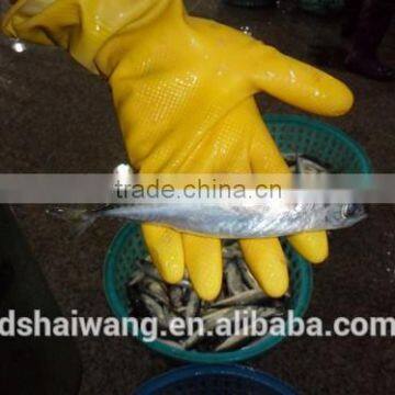 Frozen Pacific Mackerel for Sale With Size - 80g photo-4